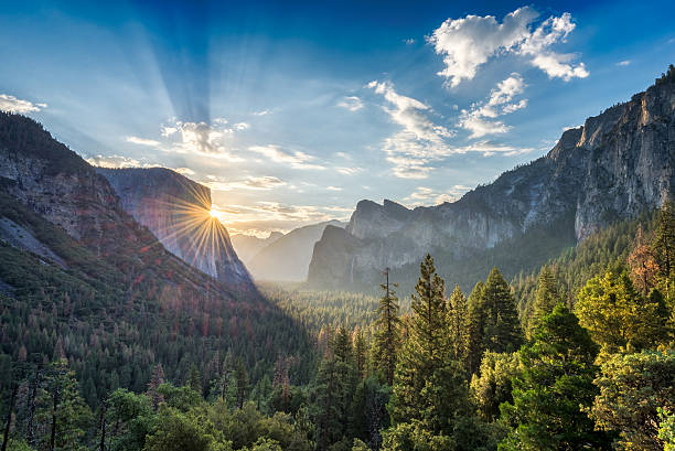 istockphoto 545090448 612x612 1
