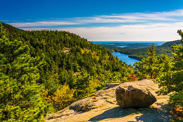 istockphoto 529983821 612x612 1