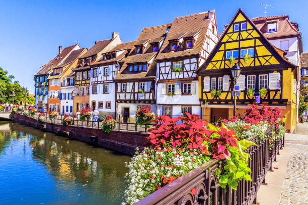 istockphoto 901854006 612x612 1