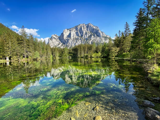 istockphoto 1226636937 612x612 1