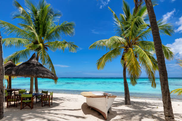 istockphoto 1391519850 612x612 1