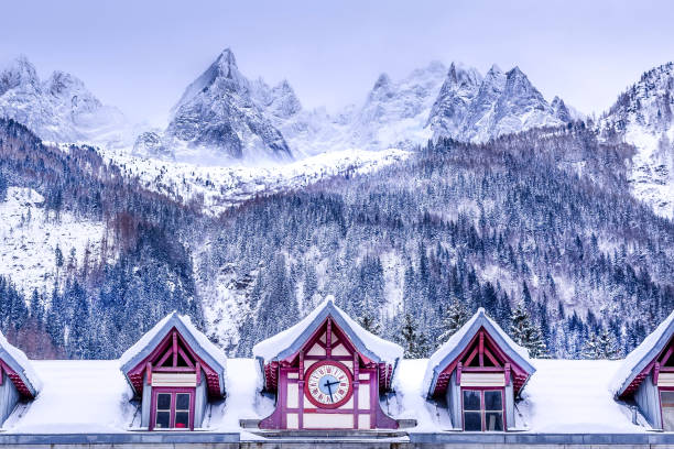 istockphoto 1173535930 612x612 1
