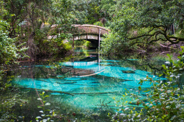 A Travel Guide For Ocala National Forest