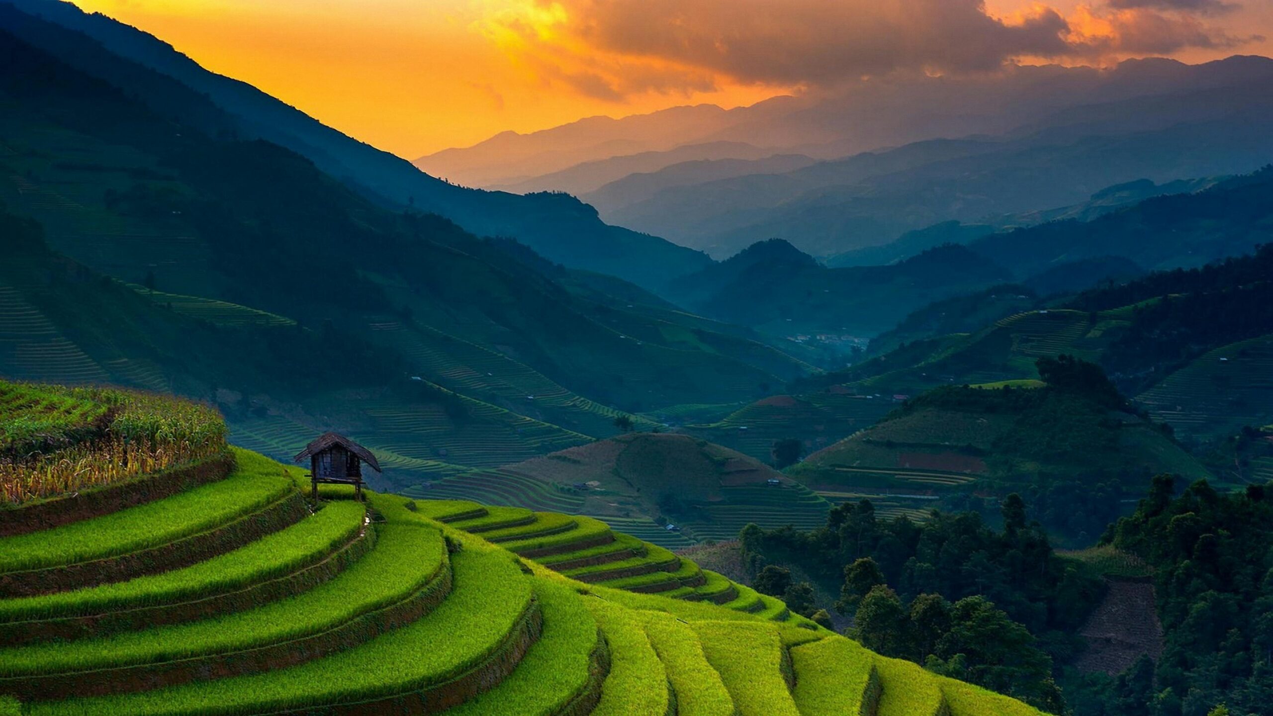 What Makes You to Visit Banaue Rice Terraces?