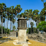 istockphoto 1209420553 612x612 1