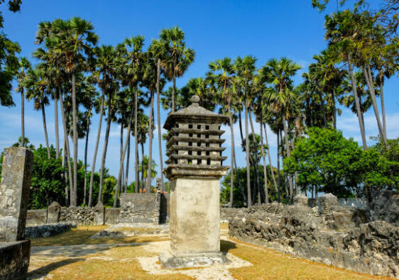 istockphoto 1209420553 612x612 1