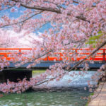 istockphoto 2156011586 612x612 1