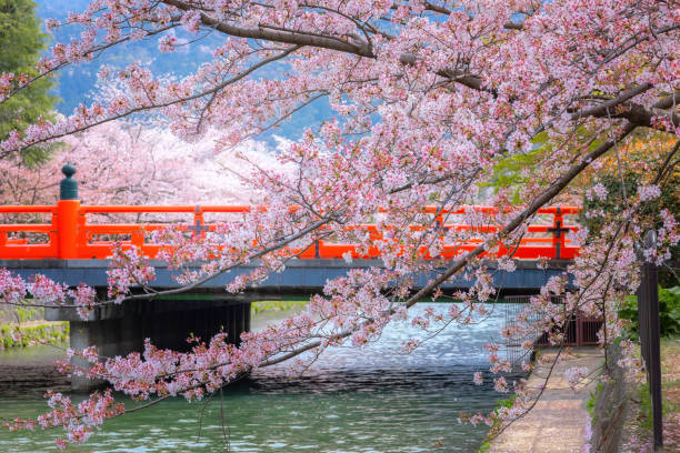 istockphoto 2156011586 612x612 1