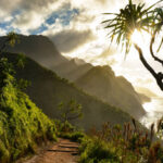 istockphoto 903132006 612x612 1