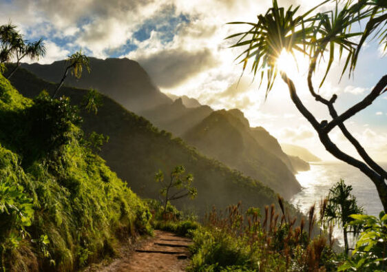 istockphoto 903132006 612x612 1